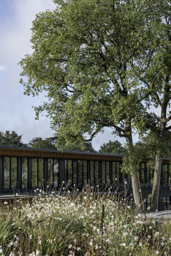 Groupe scolaire et gymnase à Saint-Cyr-sur-Loire